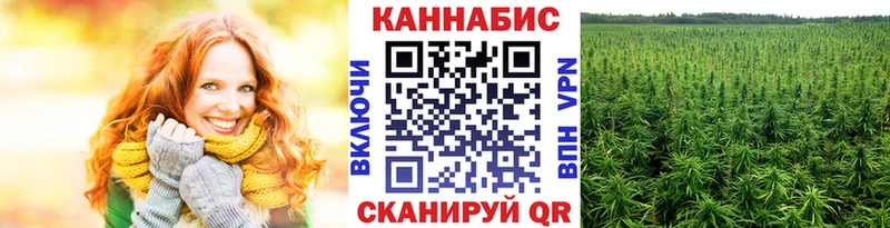 продажа наркотиков Грязовец Канабис индика